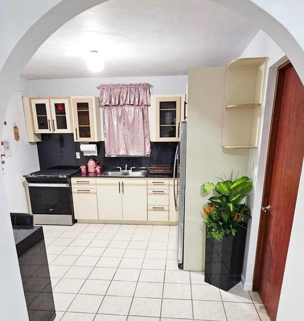 Apartment Casa Palmera Vega Baja