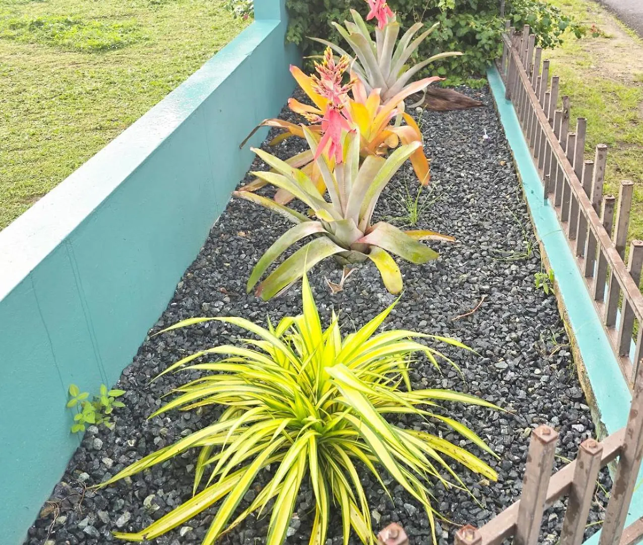 Apartment Casa Palmera Vega Baja Puerto Rico